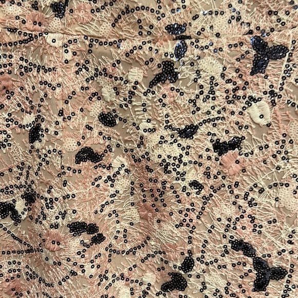 Dress the population, new, xl, pink cream lace with navy sequin detail. - Picture 3 of 3